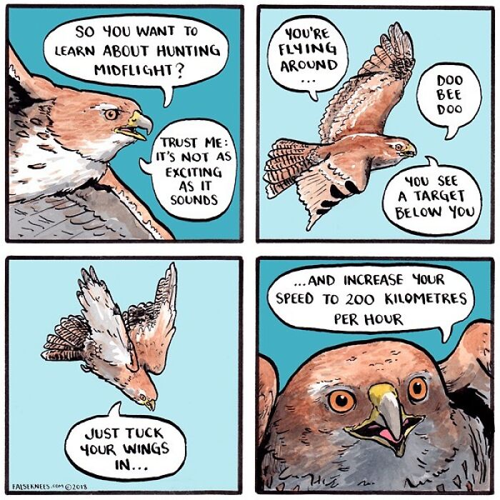 New Humorous And Often Surreal Illustrations Of Animals And Nature