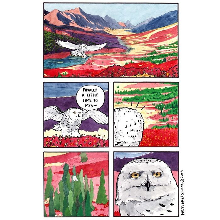 New Humorous And Often Surreal Illustrations Of Animals And Nature