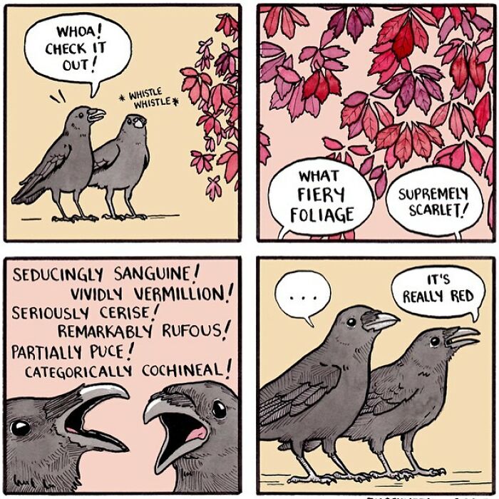 New Humorous And Often Surreal Illustrations Of Animals And Nature