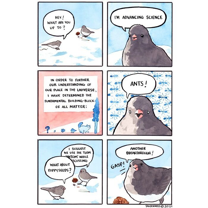 New Humorous And Often Surreal Illustrations Of Animals And Nature