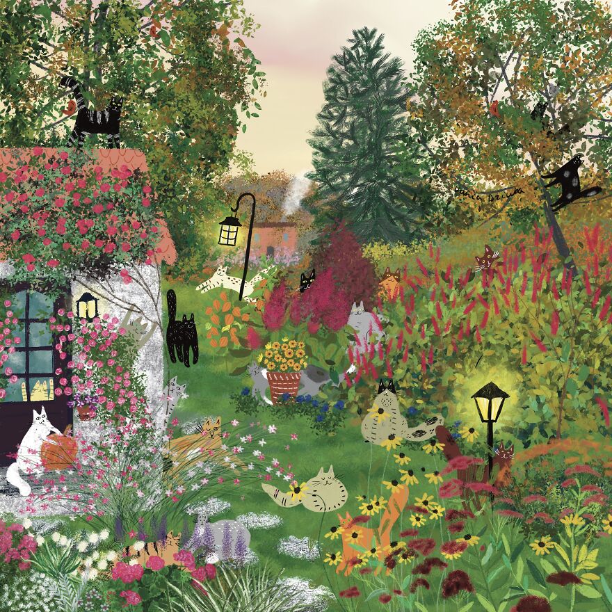 Cats In A Garden At The Sunset