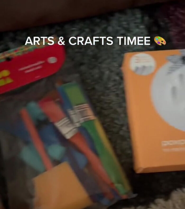 TikTok User Shared Emotional Last Day With Her Dog, Touched Almost 10 Million People Online