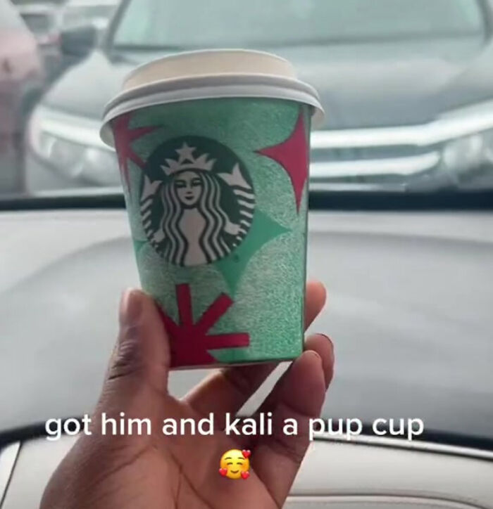 TikTok User Shared Emotional Last Day With Her Dog, Touched Almost 10 Million People Online