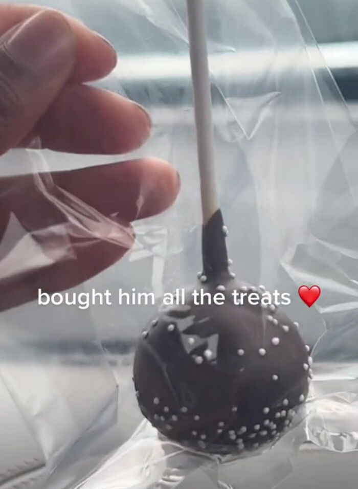 TikTok User Shared Emotional Last Day With Her Dog, Touched Almost 10 Million People Online