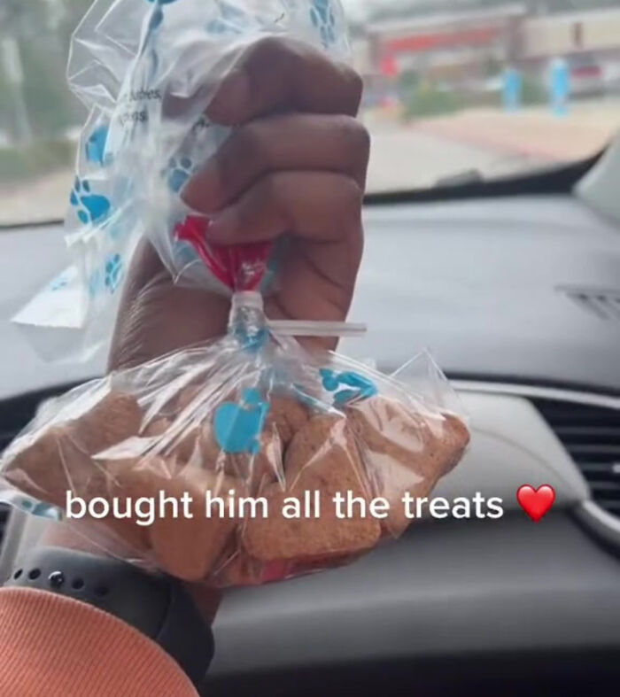 TikTok User Shared Emotional Last Day With Her Dog, Touched Almost 10 Million People Online