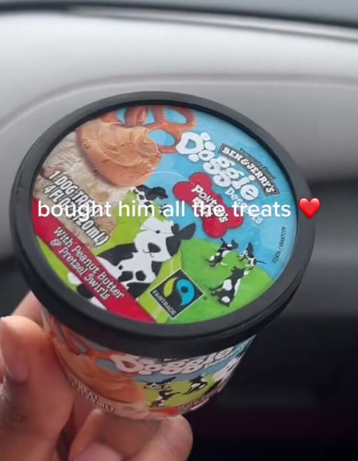 TikTok User Shared Emotional Last Day With Her Dog, Touched Almost 10 Million People Online