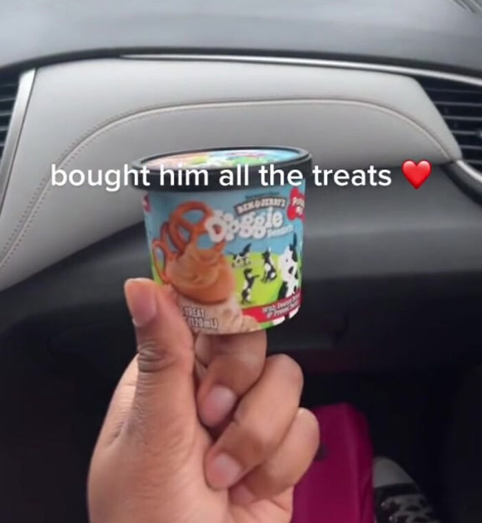 TikTok User Shared Emotional Last Day With Her Dog, Touched Almost 10 Million People Online