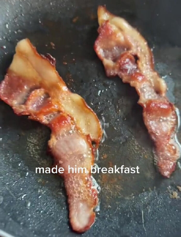 TikTok User Shared Emotional Last Day With Her Dog, Touched Almost 10 Million People Online