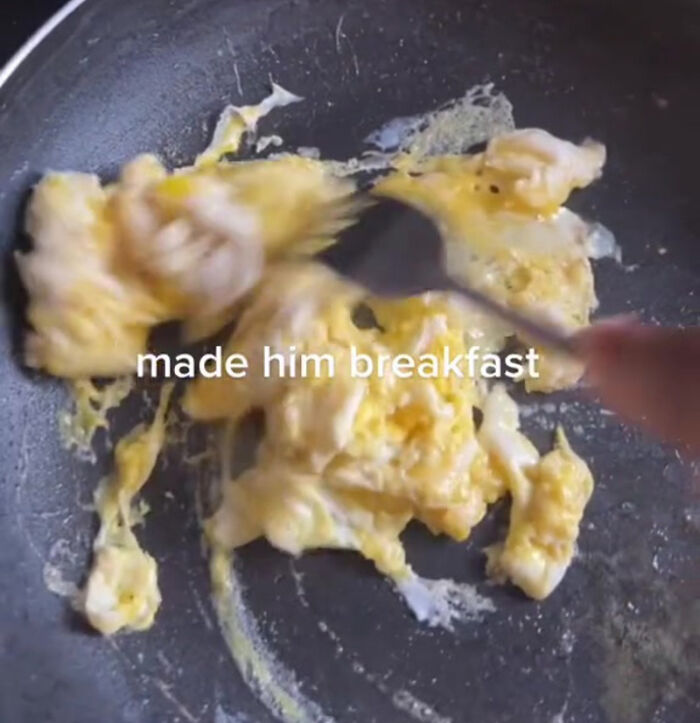 TikTok User Shared Emotional Last Day With Her Dog, Touched Almost 10 Million People Online