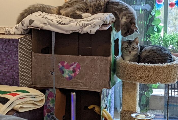 I'm Not Touching You. Yet