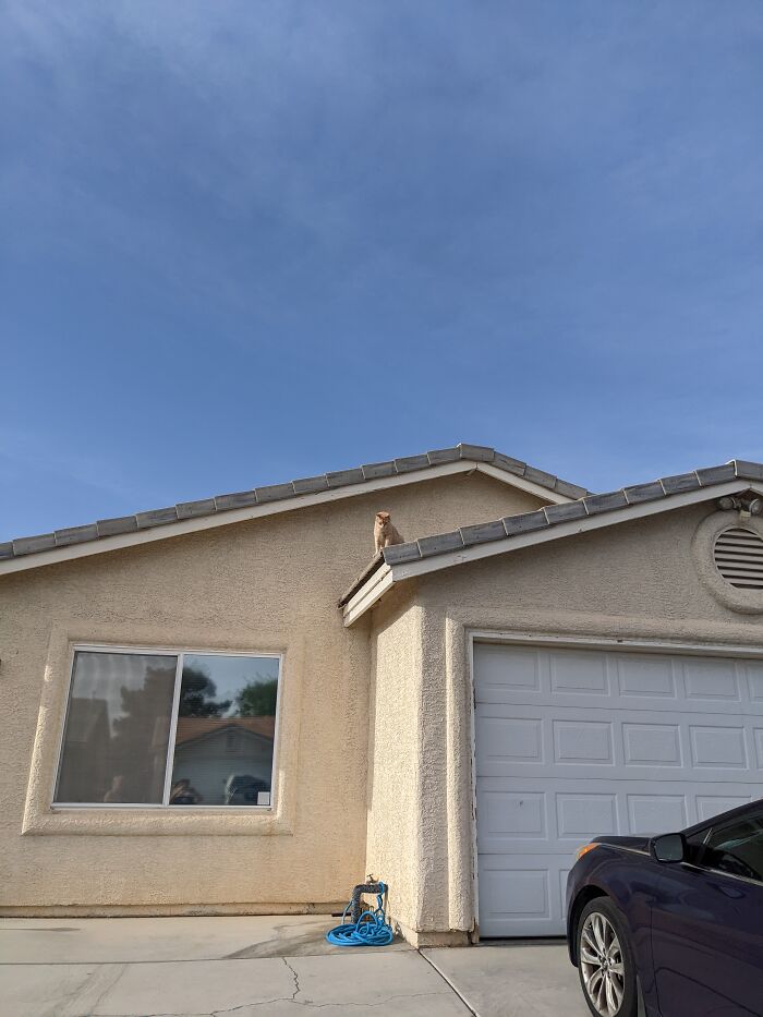 Those Who Wish To Enter Must Answer Me These Questions Three, 'Ere The Other Side You See