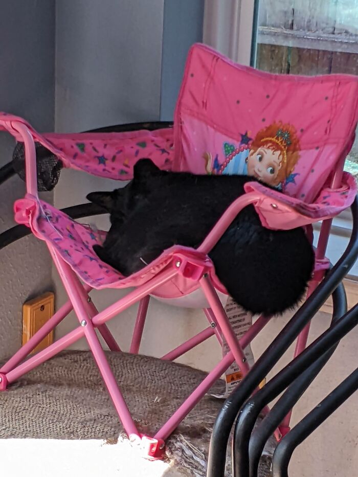 Marley In The Princess Chair On Another Chair