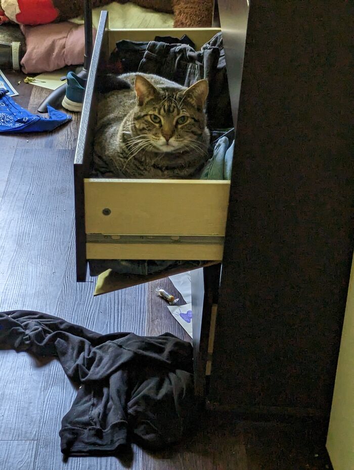 Bender Says, Screw Physics. And Your Laundry