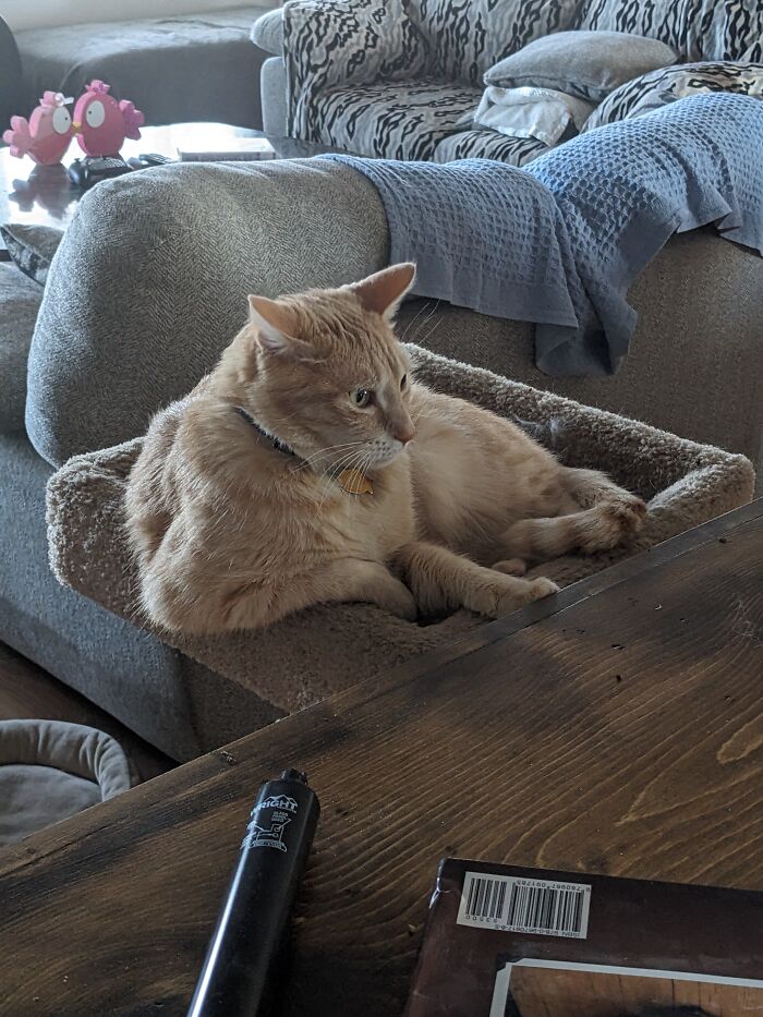 What Brings You 'Round These Parts, Pardner?