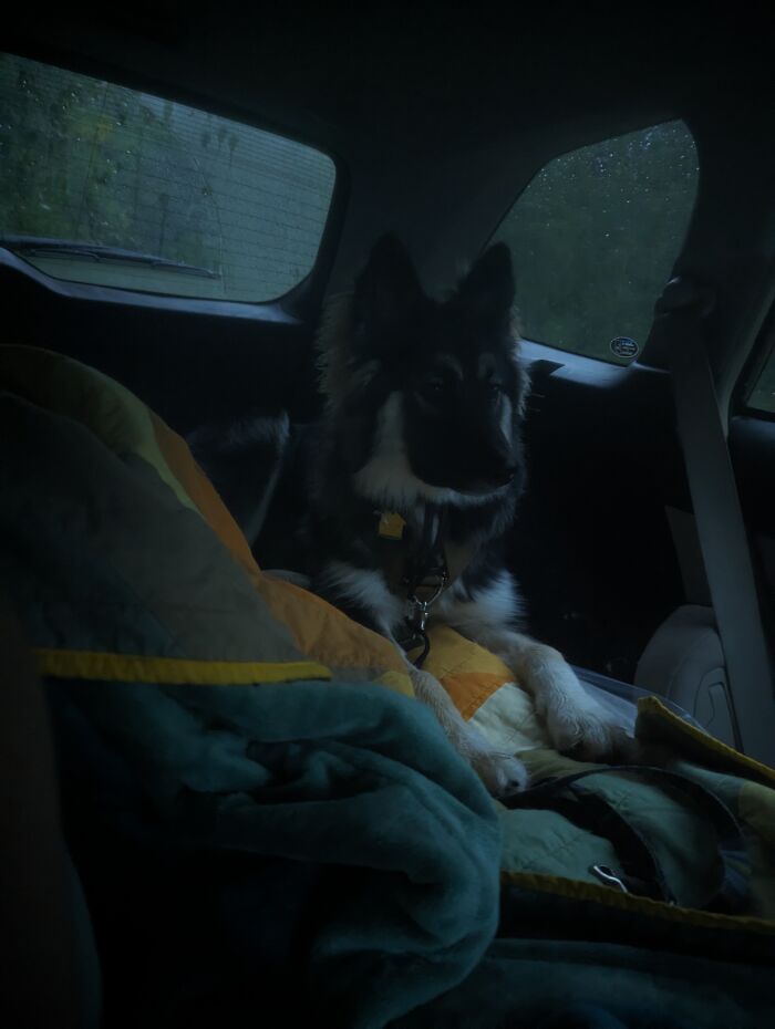 Going Car Camping With Her!