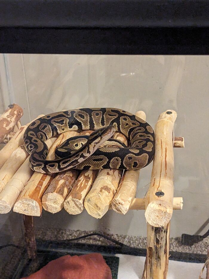 Michael Up On Top Of The Thing I Built For Her