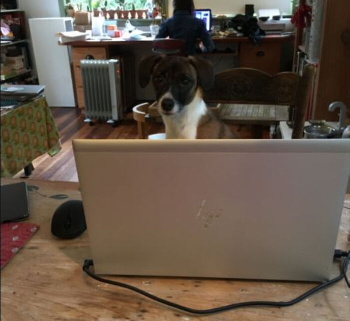 Does This Count? She Was Busy Working During Lockdown