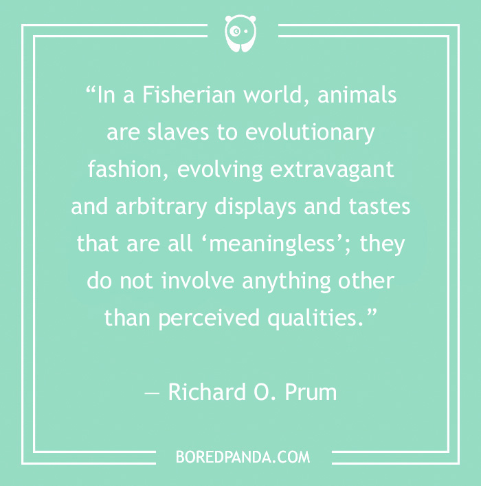 132 Inspiring Aesthetic Quotes For A Daily Dose Of Inspiration - 35