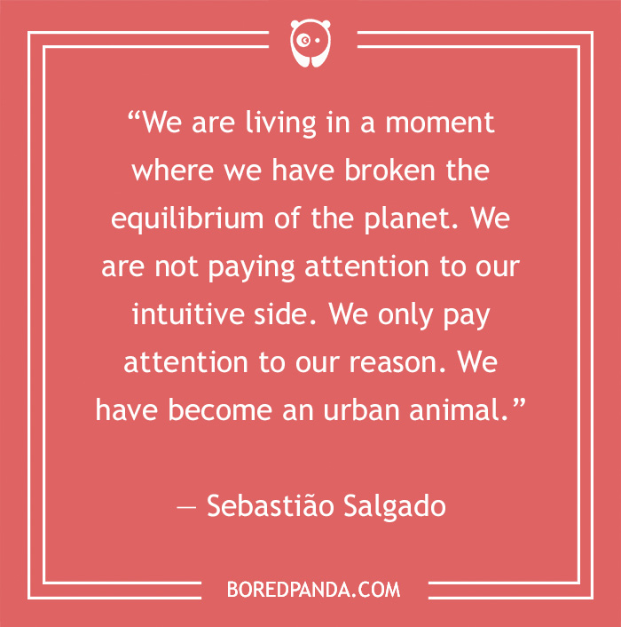 132 Inspiring Aesthetic Quotes For A Daily Dose Of Inspiration - 5