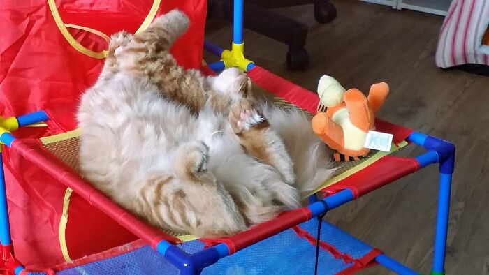 Now Stretch Your Left Arm... The Other Left, Renni!!!