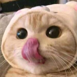 carmelacameron avatar