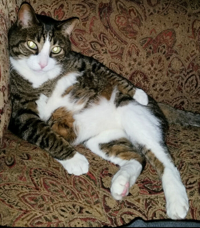 Bob Striking His Sexy Pose!