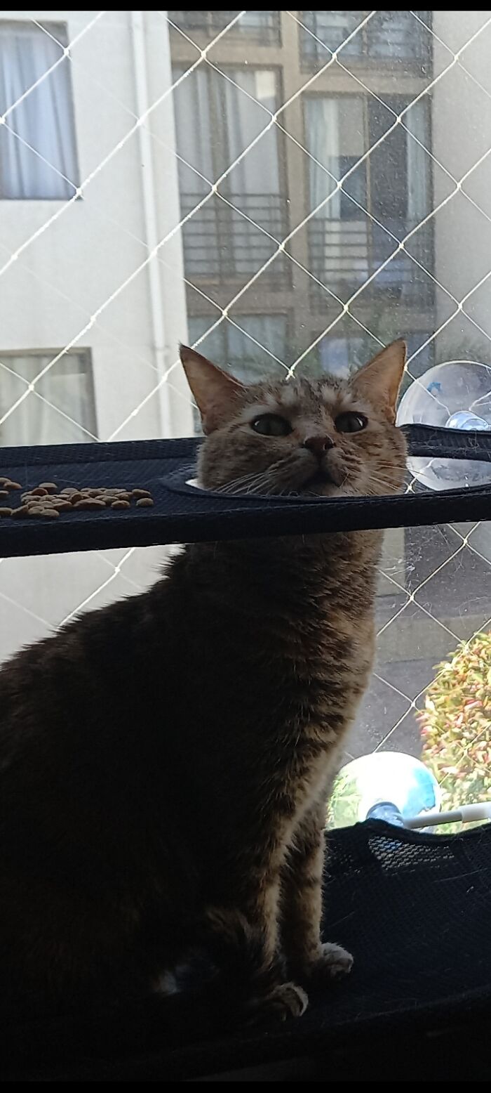 Been Trying To Get Her On The Second Level... Nope!