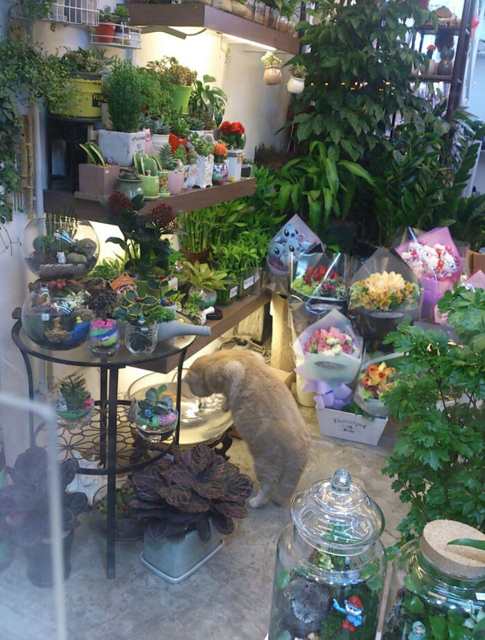 Ths Shop Assistant Is Taking A Sip