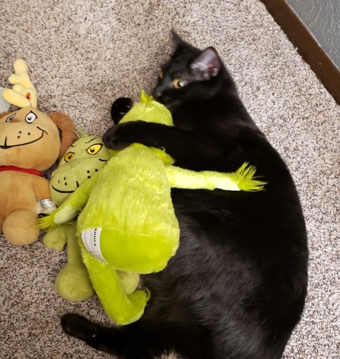 Ozzy With The Grinch