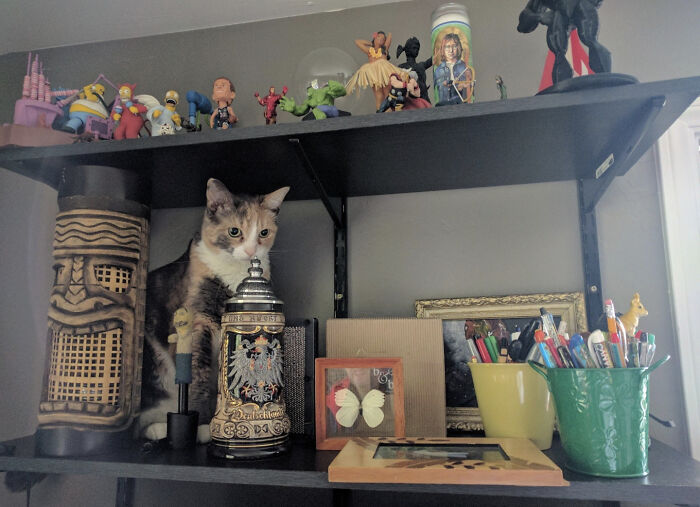 Even Nova Doesn't Know How She Got There