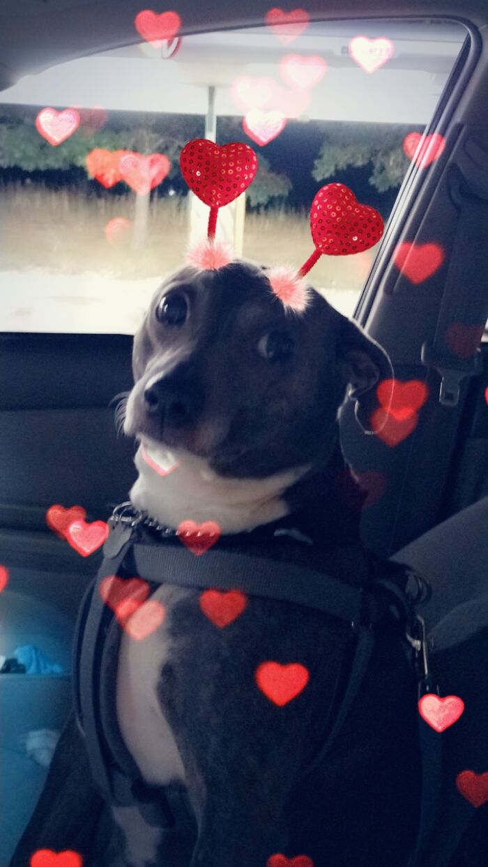 How Grae'son Feels When I Take Him For A Ride