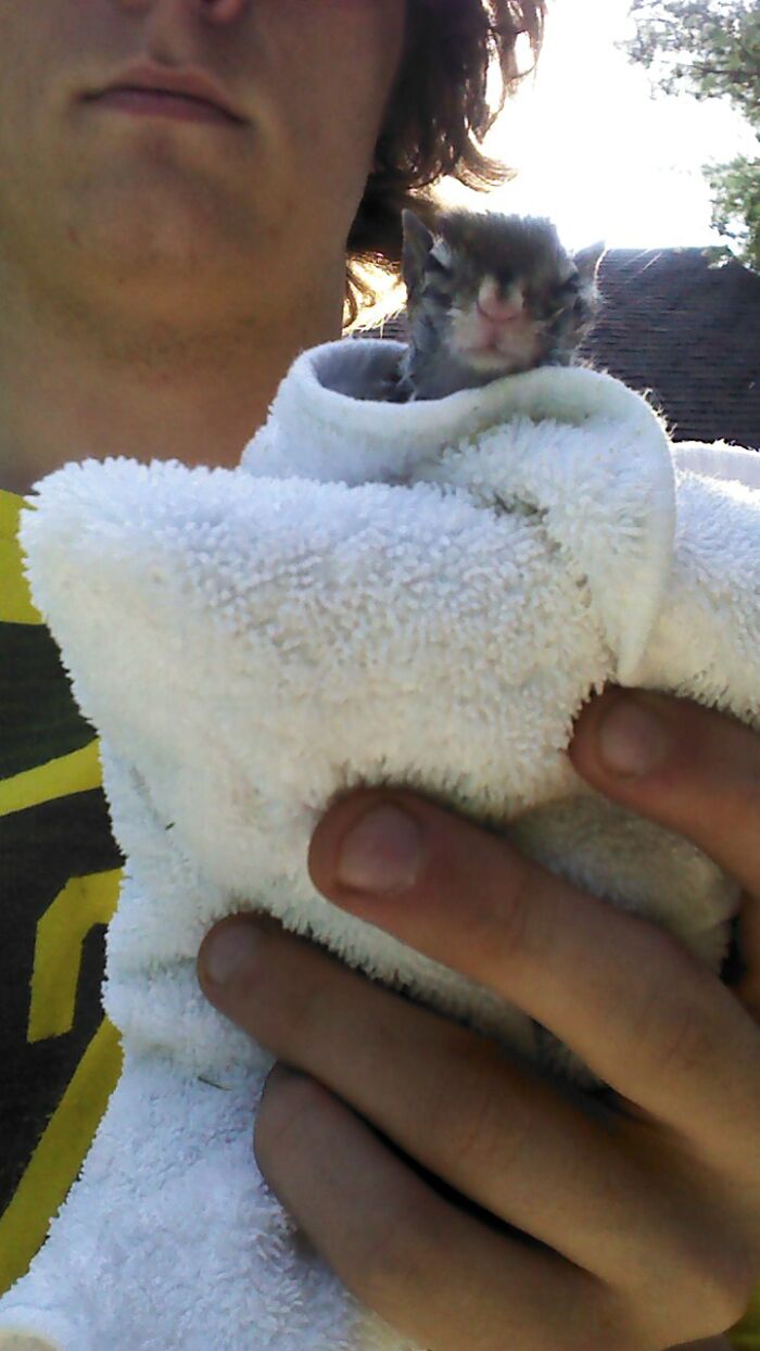 Soggy Chipmunk Rescued From A Pennsylvania Lake