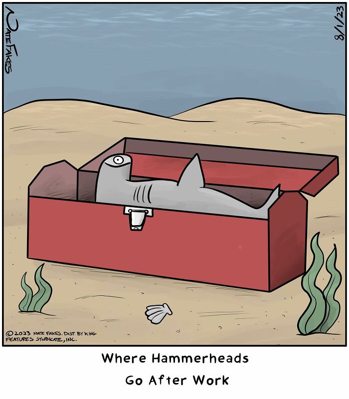 Hammerhead shark after work