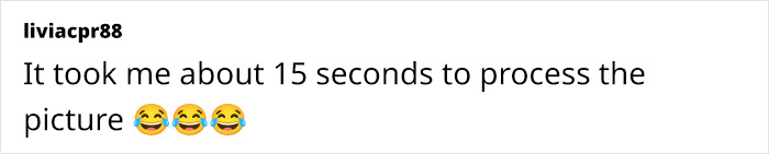 This Owner Got Scared After Seeing What Appeared To Be Her Dog Levitating In Home Camera Footage