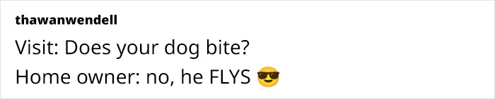 This Owner Got Scared After Seeing What Appeared To Be Her Dog Levitating In Home Camera Footage