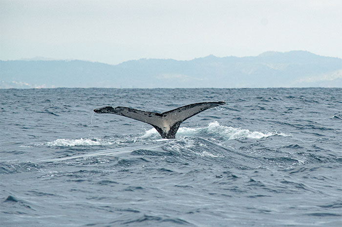 30 Good Things Happening In The World Right Now That Many People Don't Think Of