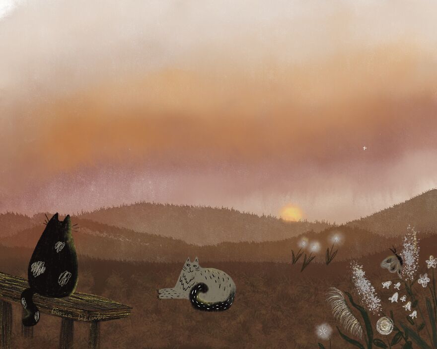 Cats In The Mountains Enjoying The Sunset