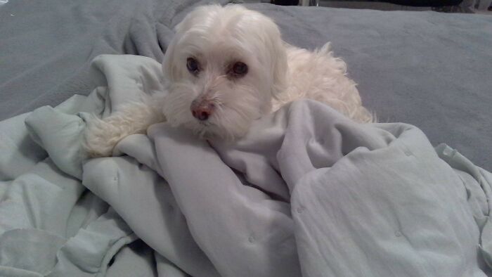 Ella, Who Needs A Bath