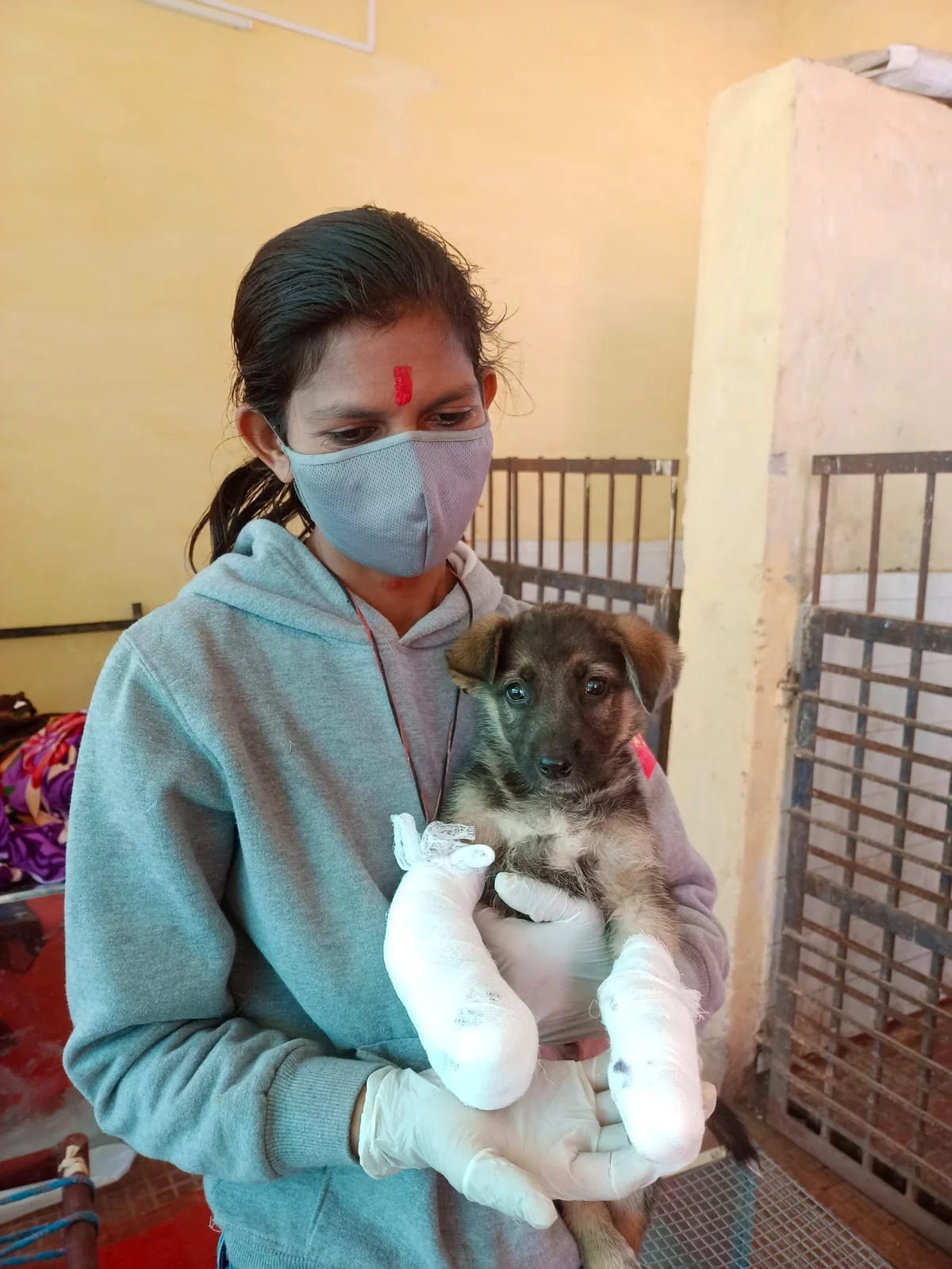 Furry Friends, Brighter Futures: Bezubanwelfare’s Heartwarming Mission In Bikaner