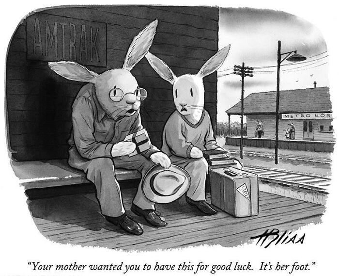 Witty And Intelligent Comics By Living Legend Harry Bliss