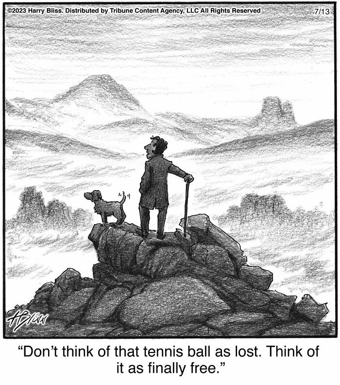 Witty And Intelligent Comics By Living Legend Harry Bliss