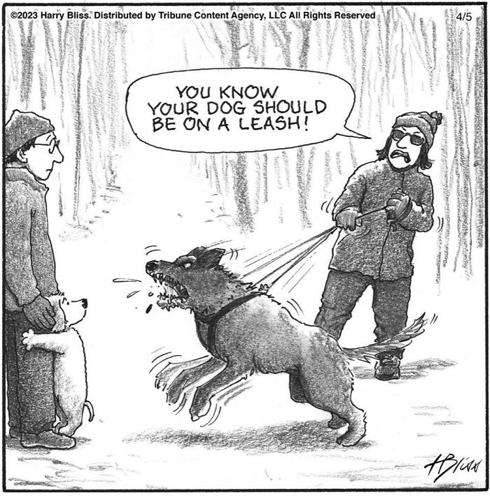 Witty And Intelligent Comics By Living Legend Harry Bliss