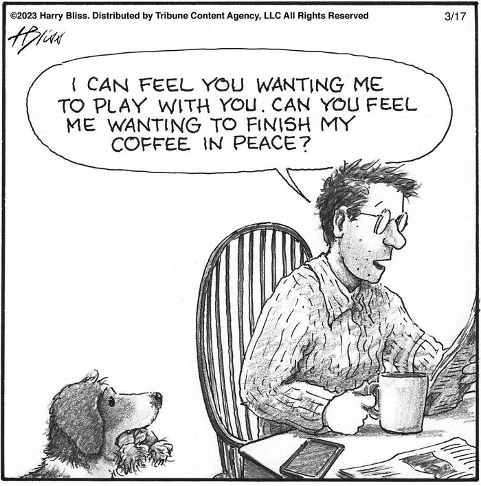 Witty And Intelligent Comics By Living Legend Harry Bliss