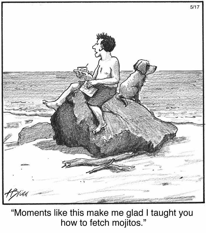 Witty And Intelligent Comics By Living Legend Harry Bliss