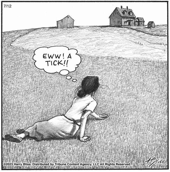 Witty And Intelligent Comics By Living Legend Harry Bliss