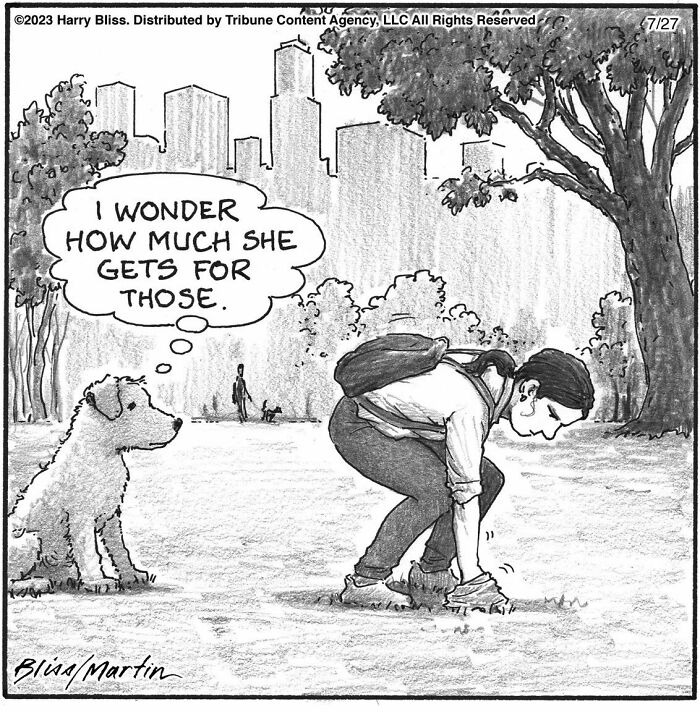 Witty And Intelligent Comics By Living Legend Harry Bliss