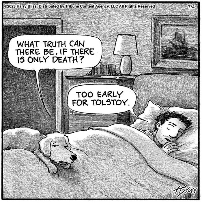 Witty And Intelligent Comics By Living Legend Harry Bliss