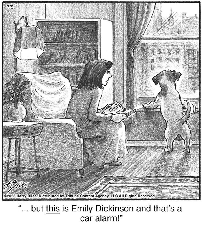 Witty And Intelligent Comics By Living Legend Harry Bliss