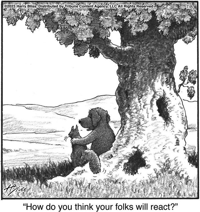 Witty And Intelligent Comics By Living Legend Harry Bliss