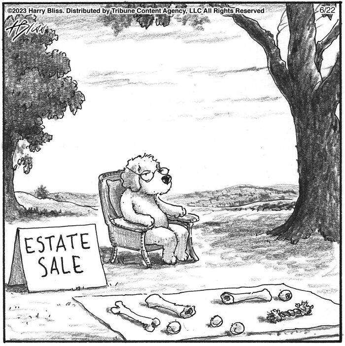 Witty And Intelligent Comics By Living Legend Harry Bliss